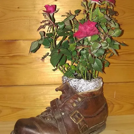 K&k Residenz * Bad Mitterndorf