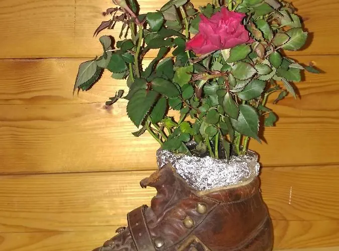 K&k Residenz * باد ميترندورف